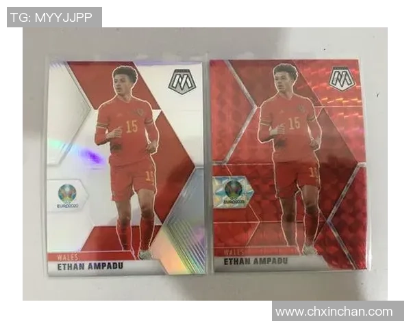 帕尼尼足球球星卡的历史背景与收藏价值分析 帕尼尼足球球星卡的历史背景与收藏价值分析