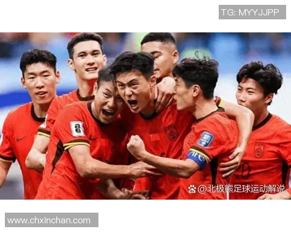 聚焦绿茵场外人生足球球星太太们的爱恨梦想与荣耀故事