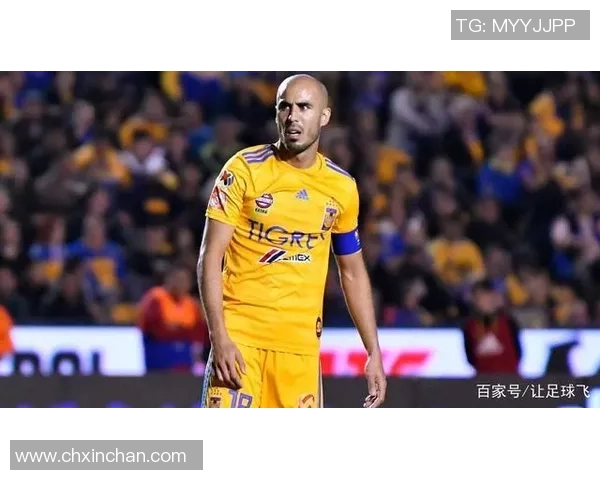 足球球星偏爱的美食揭秘 他们的饮食习惯与营养秘密大曝光