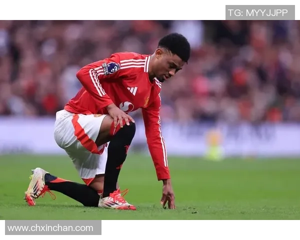 足球球星脚踝伤病对职业生涯发展的深远影响与未来走势分析